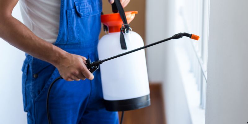 Como Fazer Dedetização em Casa em Duque de Caxias: 4 Dicas Simples Como fazer dedetização em casa em Duque de Caxias