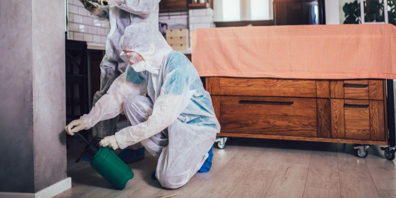 Dedetização em Apartamento Como Funciona em Duque de Caxias: Confira 4 Passos Dedetização em Apartamento Como Funciona em Duque de Caxias: Confira 4 Passos