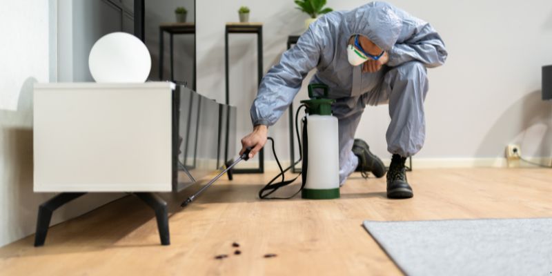 Quanto Tempo Dura Uma Dedetização em Duque de Caxias? Confira! Quanto tempo dura uma dedetização em Duque de Caxias?